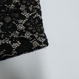 Women Summer Lace See-Through Sleeveless Patterned Crop Top and Pant Two-Piece Set
