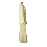 Women's Elegant Fashion Chic Career Solid Color Blazer with Mesh Skirt Two-Piece Set