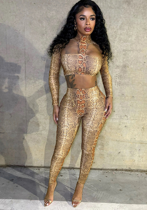 Autumn/Winter Women's High Neck Halter Neck Snake Print Crop Top with Tight Slim Pants Set