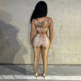 Autumn/Winter Women's High Neck Halter Neck Snake Print Crop Top with Tight Slim Pants Set