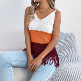 Women Spring/Summer Casual V-Neck Color Block Tassel Sleeveless Knitting Holidays Top