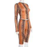 Women's Autumn Winter Snake Print Round Neck Pullover Crop Top Tight Fitting Pants Set