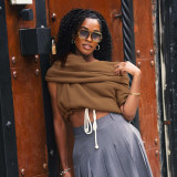 Women's Autumn Winter Solid Casual Sleeveless Color Block Drawstring Hooded Top