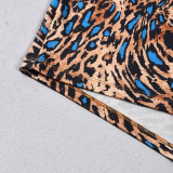 Women's Summer Print Color Block Elastic Waist Slim Fit Casual Shorts