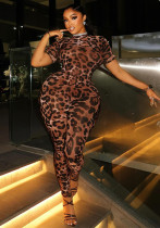 Women's Style Print Street Career Leopard Print Slim Fit Short Sleeve Jumpsuit