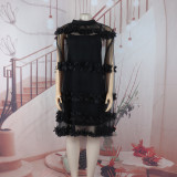 Women Summer Mesh Puffy Dress