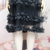 Women Summer Mesh Puffy Dress