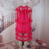 Women Summer Mesh Puffy Dress