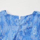 Women's Elegant Lace Sleeve Sequin Formal Maxi Dress