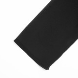 Women's Autumn & Winter Deep V Cowl Neck Chiffon Long-Sleeve Blouse