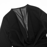 Women's Autumn & Winter Deep V Cowl Neck Chiffon Long-Sleeve Blouse