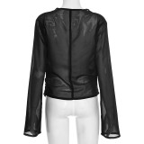 Women's Autumn & Winter Deep V Cowl Neck Chiffon Long-Sleeve Blouse