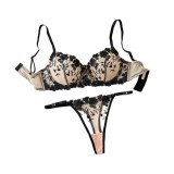 Women's Seductive Lingerie Set Mesh Embroidery Thin Bra and Panty Set