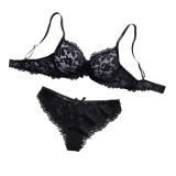 Women's Seductive Lingerie Set Lace Print See-Through Bra and Panty Set