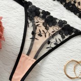 Women's Seductive Lingerie Set Mesh Embroidery Thin Bra and Panty Set