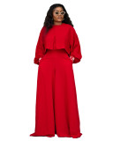 Women Autumn/Winter Round Neck Irregular Lantern Sleeve Top Wide Leg Pants Two-Piece Set