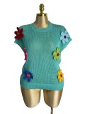 Women's Summer Fashion Floral Crochet Short Sleeve Loose Knit Pullover Top