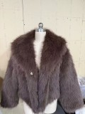 Women's Autumn Winter Short Fashion Faux Fur Plush Turndown Collar Coat