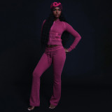 Women's Autumn Winter Fashion Chic Casual Career Hooded Zip-Up Top and Pants Set