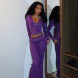 Women's Autumn Winter Fashion Chic Casual Career Hooded Zip-Up Top and Pants Set