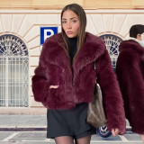 Women's Autumn Winter Short Fashion Faux Fur Plush Turndown Collar Coat