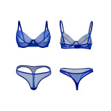 Women Mesh Lingerie Two-Piece Set