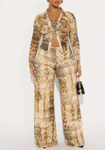 Women Elegant V-Neck Long-Sleeved Top and Pants Two-Piece Set