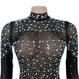 Sexy Long-Sleeved See-Through Mesh Beaded Dress