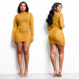 Women Sexy See-Through Mesh Beaded Dress