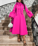Women Bowknot Stand Collar Puff Sleeve A Line Party Dress