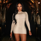 Women Autumn/Winter High-Neck Printed Long-Sleeved Bodycon Mini Dress