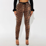 Women Autumn/Winter Lace Print Basic Stretchy Casual Pant