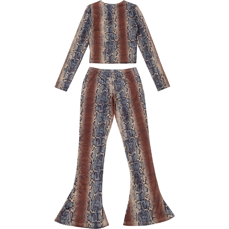 Women Autumn/Winter Long-Sleeved Top and Printed Pants Two-Piece Set