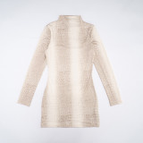 Women Autumn/Winter High-Neck Printed Long-Sleeved Bodycon Mini Dress