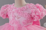 Girls' Birthday Formal Party Puff Sleeve Embroidered Train Cake Princess Dress