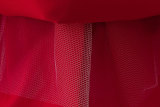 Girls' Red Summer Puffy Tulle Princess Dress