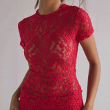 Women Sexy Lace See-Through Round Neck Short-Sleeve T-Shirt Top and Shorts Two-Piece Set