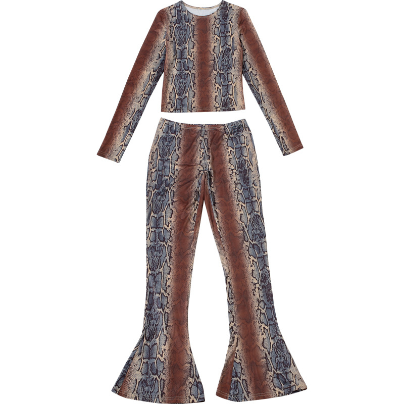 Women Autumn/Winter Long-Sleeved Top and Printed Pants Two-Piece Set