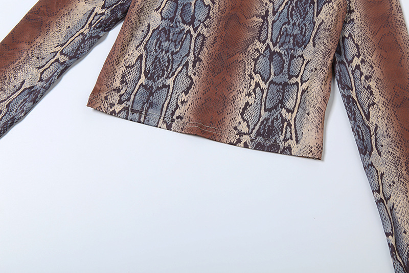 Women Autumn/Winter Long-Sleeved Top and Printed Pants Two-Piece Set