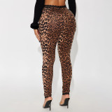 Women Autumn/Winter Lace Print Basic Stretchy Casual Pant