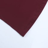 Women Autumn/Winter Round Neck Long-Sleeve Lace Patchwork Bodycon Dress