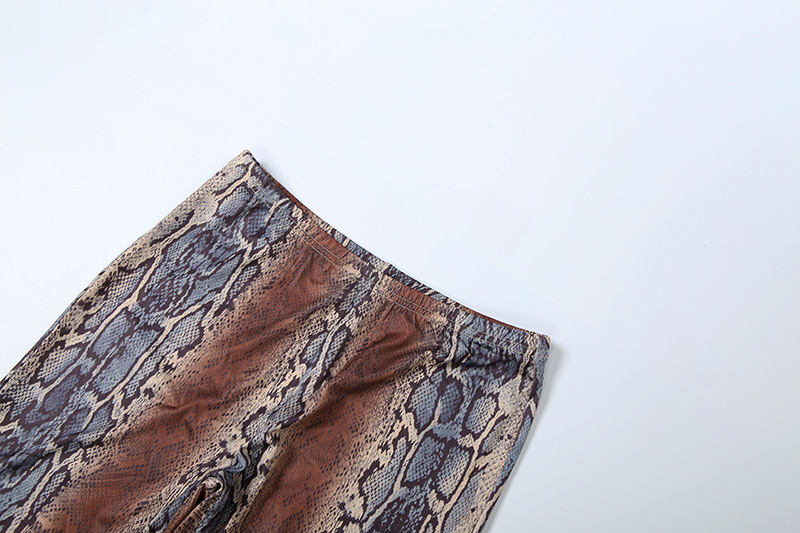 Women Autumn/Winter Long-Sleeved Top and Printed Pants Two-Piece Set