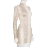 Women Autumn/Winter High-Neck Printed Long-Sleeved Bodycon Mini Dress
