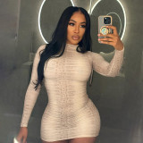 Women Autumn/Winter High-Neck Printed Long-Sleeved Bodycon Mini Dress