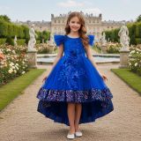 Girls' Mesh Sequin Train Princess Dress