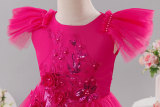 Girls' Mesh Sequin Train Princess Dress