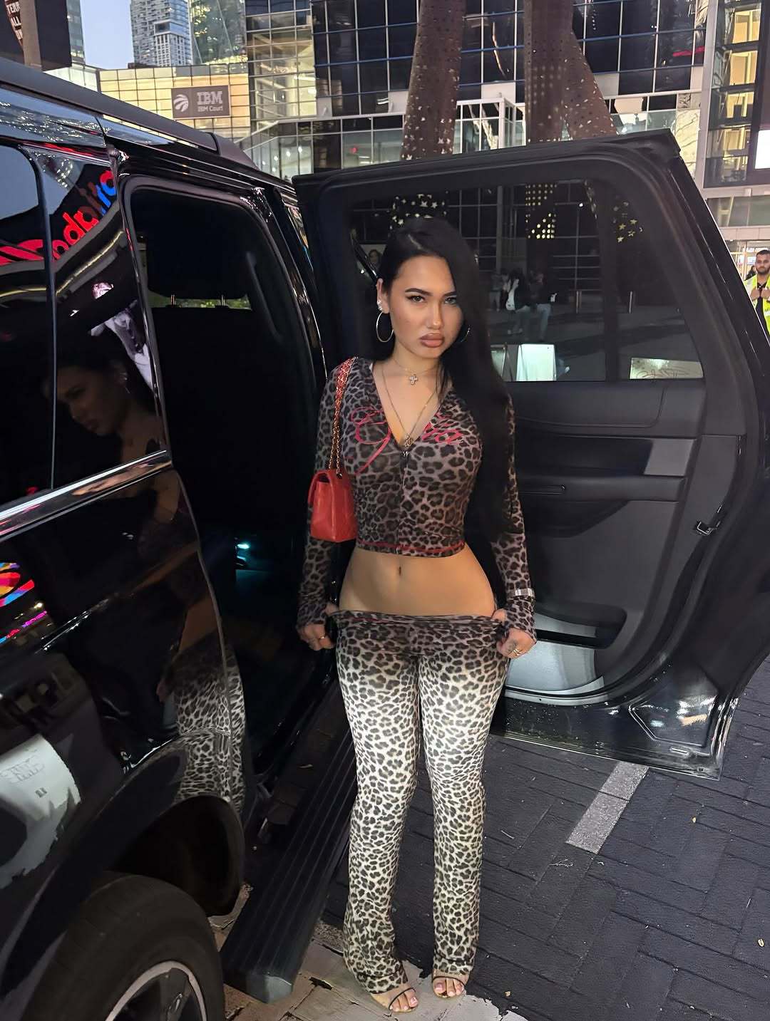 Women's Fashion Printed Casual Leopard Print Zipper Jacket and Pants Set