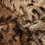 Women Stretchy Shorts