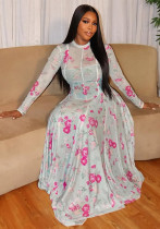 Women's Pleated Print Round Neck Long Sleeve Slim Waist A-Line Dress