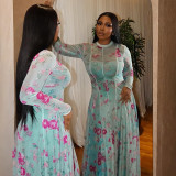 Women's Pleated Print Round Neck Long Sleeve Slim Waist A-Line Dress